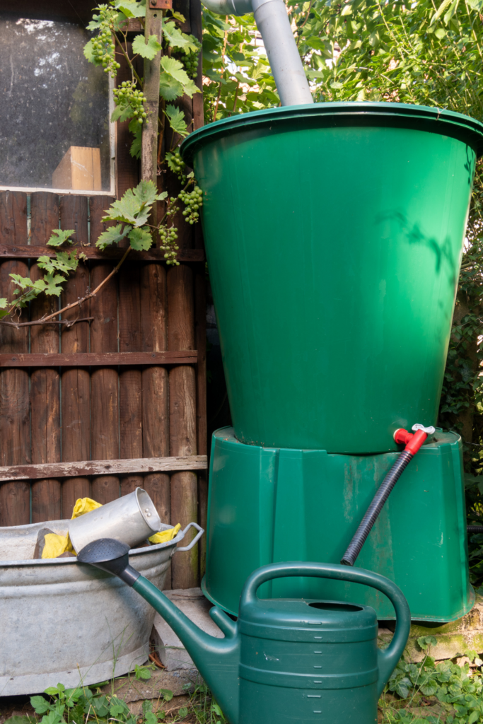 Conserving water in the garden